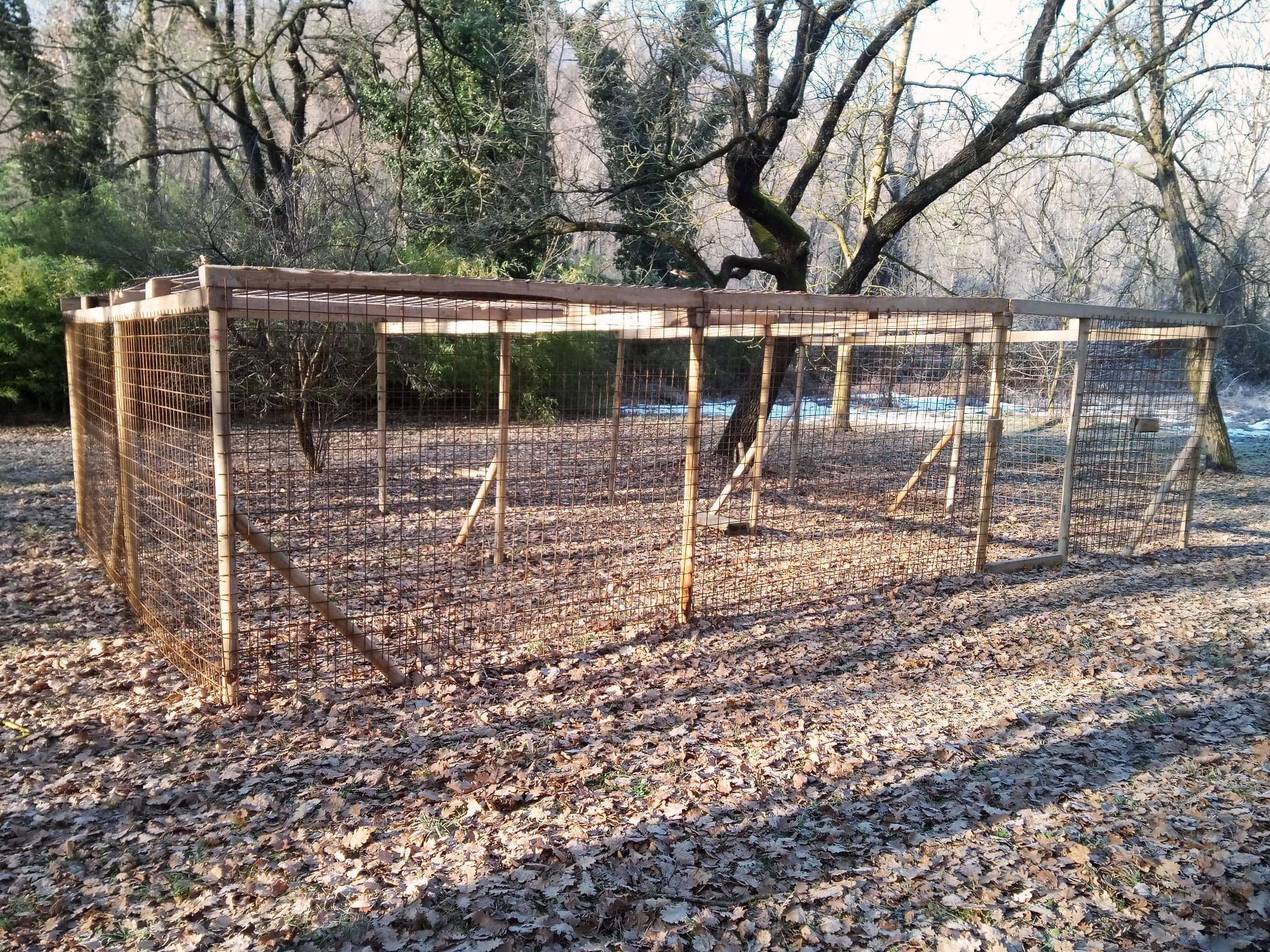 agriforestalappennino recinto capre