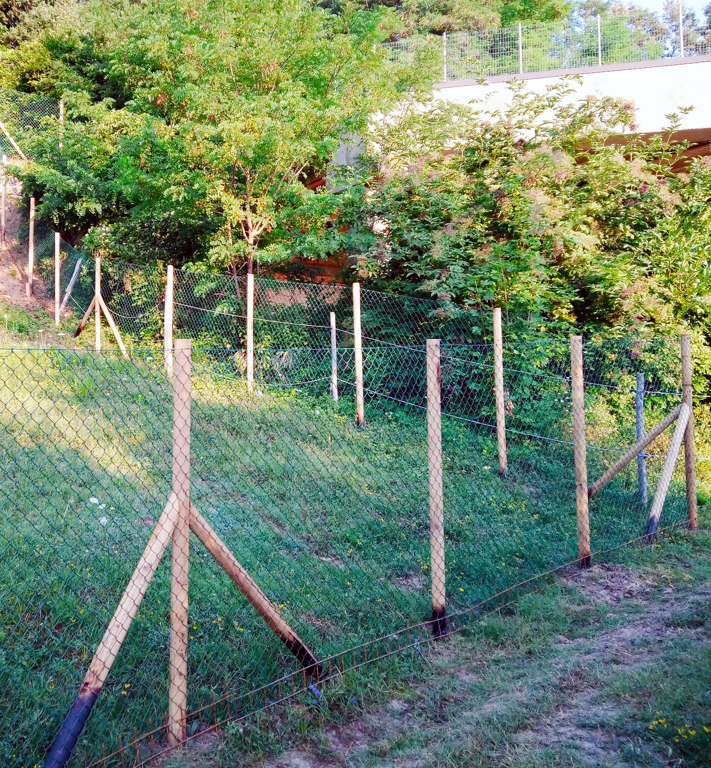 agriforestalappennino recinzioni rete romboidale